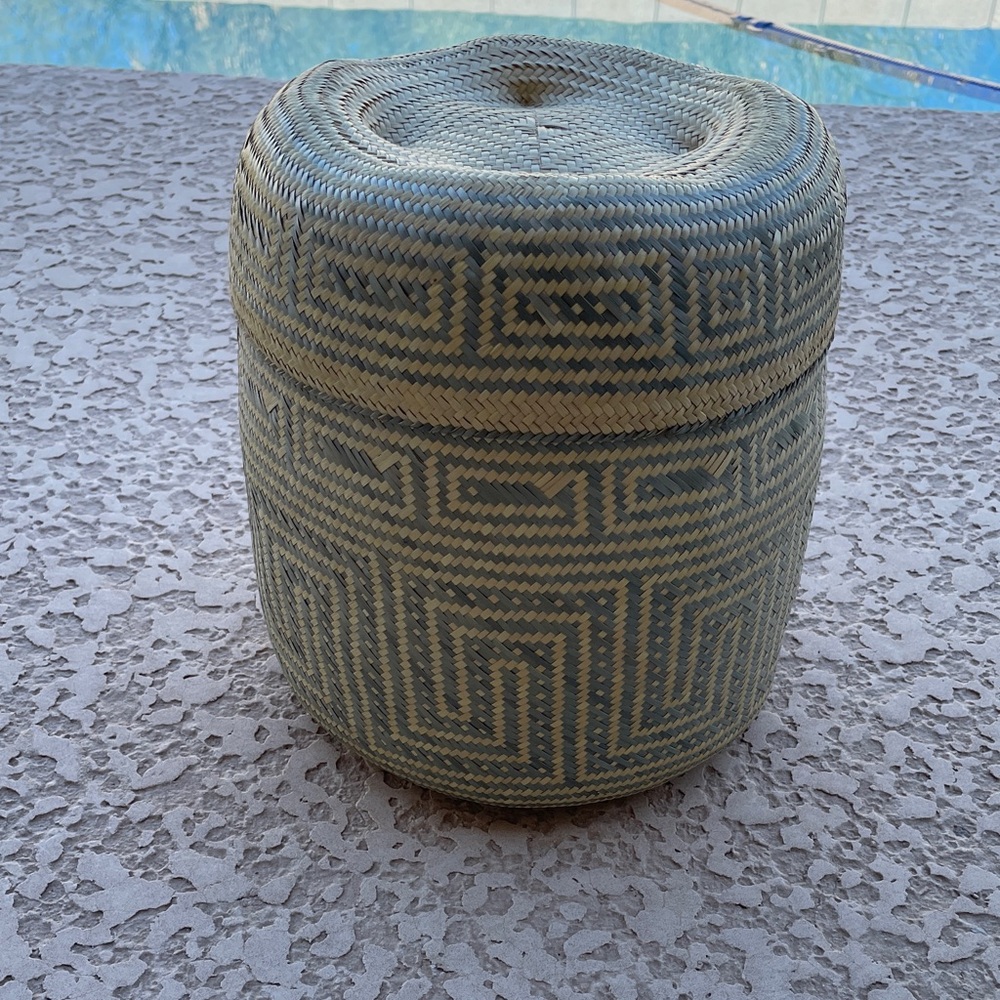 Unique Handwoven Oaxacan Palm Leaf Basket with Lid. Color: Sage Green & Natural